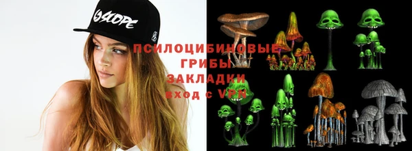 скорость Алексин