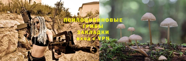 прущая мука Алзамай